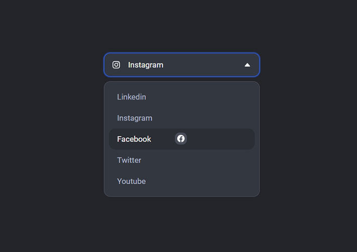 HTML5下拉框圖標跟隨改變特效網頁代碼素材
