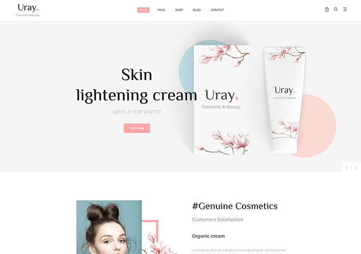 響應式化妝品美容店鋪線上商城網站網頁HTML源碼模板