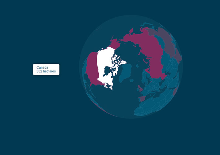 d3數據可視化實例地球儀動畫演示素材代碼