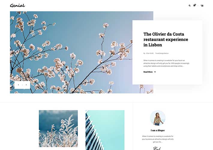 輕量級技術博客UI界面HTML5雜志網站網頁模板