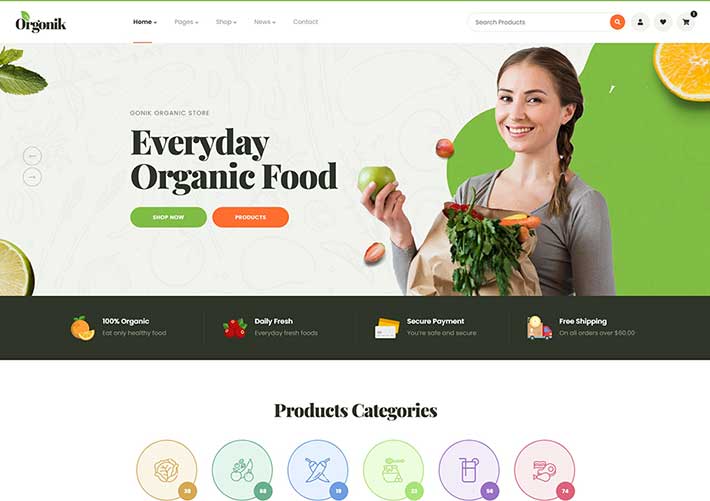 響應式食品零售蔬菜水果電商購物網站網頁HTML模板